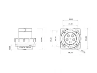 Bemis BC3-4505-7114 CEE Norm IP67 63A Makine Fişi (Pilotlu) - 2