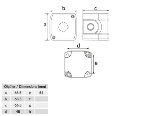 Bemis BT3-1000-0002 IP44 Tekli Buton Kutusu - 2