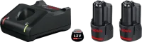 Bosch 2 x GBA 12V 2.0Ah + GAL 12V-40 Professional Şarj Cihazı - 2