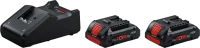 Bosch 2 x ProCORE18V 4.0Ah + GAL 18V-40 Professional Şarj Cihazı - 2
