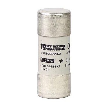 Schneider Electric DF2FN100 100A 22x58mm Kartuş Sigorta - 1